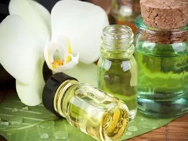 تصویر 5 از خرید اسانس گیاه باریجه + قیمت فروش استثنایی